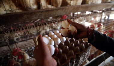 Jornal de Notícias Logo