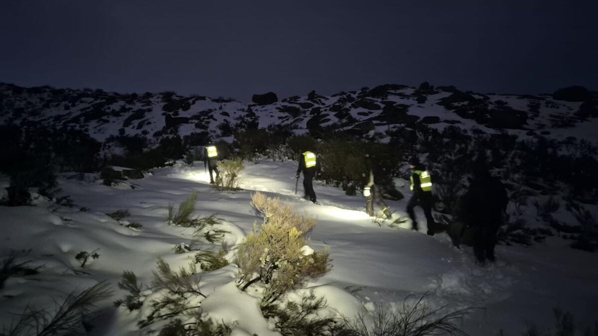 Jornal de Notícias Logo