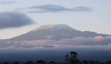 Jornal de Notícias Logo