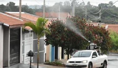Vigilância Ambiental continua aplicações de larvicida biológico em Botucatu