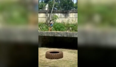 Jornal de Notícias Logo