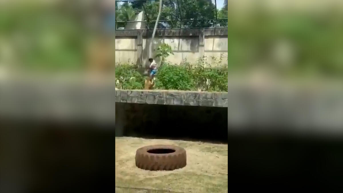 Jornal de Notícias Logo