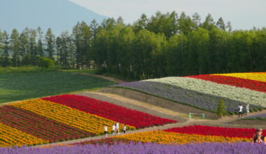 Jornal de Notícias Logo