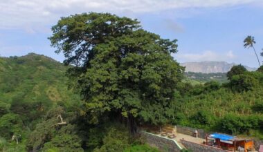 Jornal de Notícias Logo