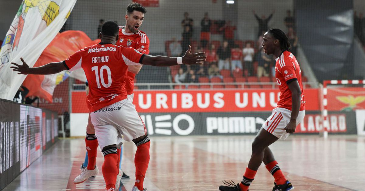 Não há guerreiro que trave o voo glorioso da águia (crónica)