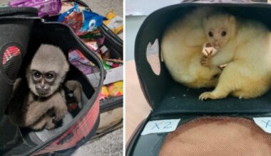 Jornal de Notícias Logo