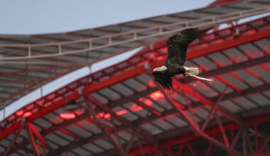 Benfica Sessão Esclarecimento Benfica District