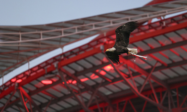 Benfica Sessão Esclarecimento Benfica District