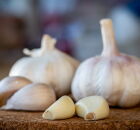 O alho é um poderoso aliado natural para o sistema imunológico.