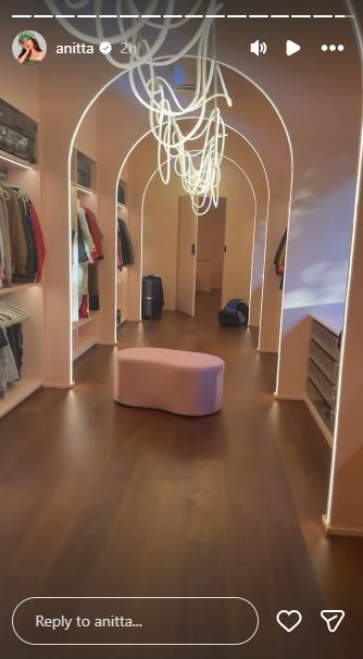 Closet de Anitta - Foto: Reprodução / Instagram