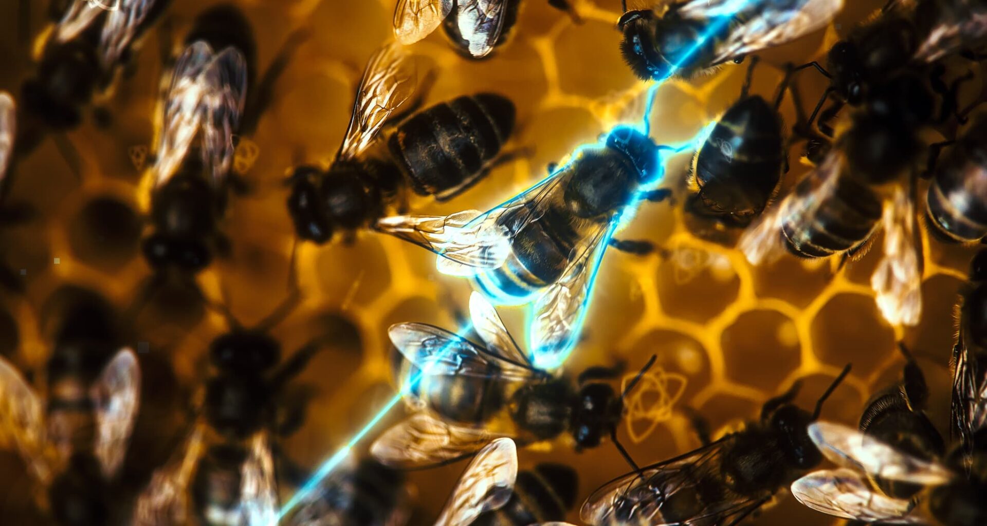 Portugal exposto digitalmente: apenas 5% da infraestrutura tecnológica está no país