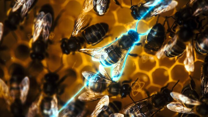 Portugal exposto digitalmente: apenas 5% da infraestrutura tecnológica está no país