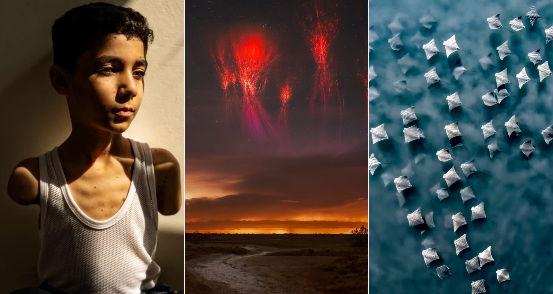 as fotos premiadas em concursos em 2025