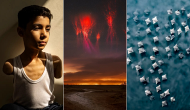 as fotos premiadas em concursos em 2025