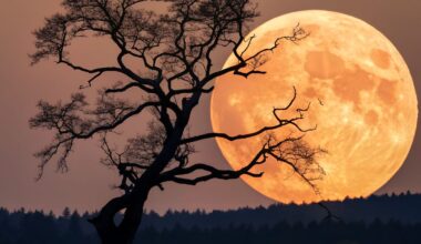 superlua de dezembro