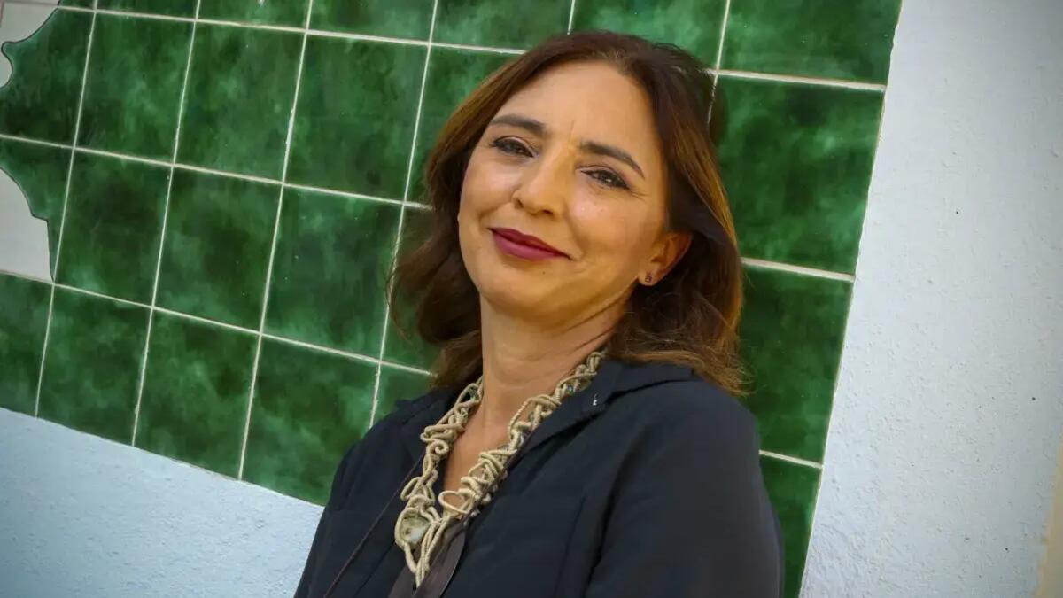 Jornal de Notícias Logo