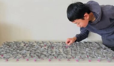 Menino de 14 anos ganhou prémio por origami capaz de suportar 10 mil vezes o seu peso
