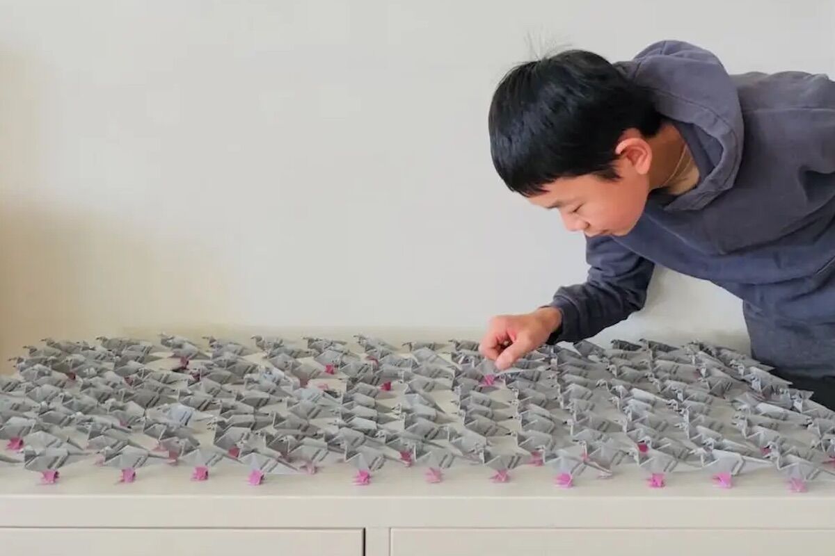 Menino de 14 anos ganhou prémio por origami capaz de suportar 10 mil vezes o seu peso