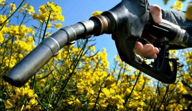 Imagem ilustrativa de biocombustíveis