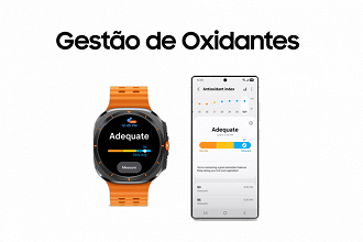 Gestão de Antioxidantes