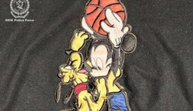 Esconderam uma câmara numa t-shirt do Mickey. Casal acusado de dar golpe milionário num casino