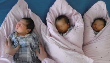 Elites chinesas usam gestação de substituição nos EUA para ter dezenas de filhos