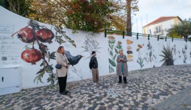 Casa da Cerca apresenta nova pintura mural da artista Tamara Alves