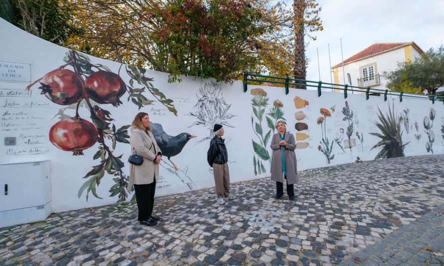 Casa da Cerca apresenta nova pintura mural da artista Tamara Alves