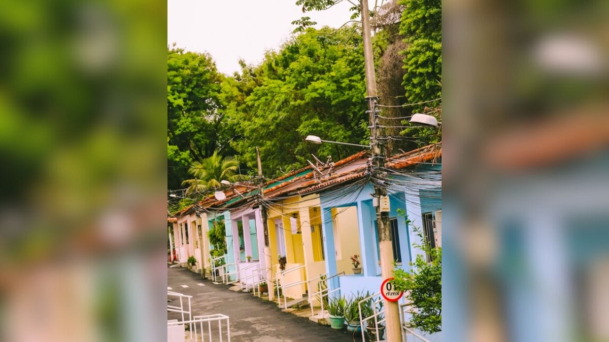 como é por dentro o retiro dos artistas