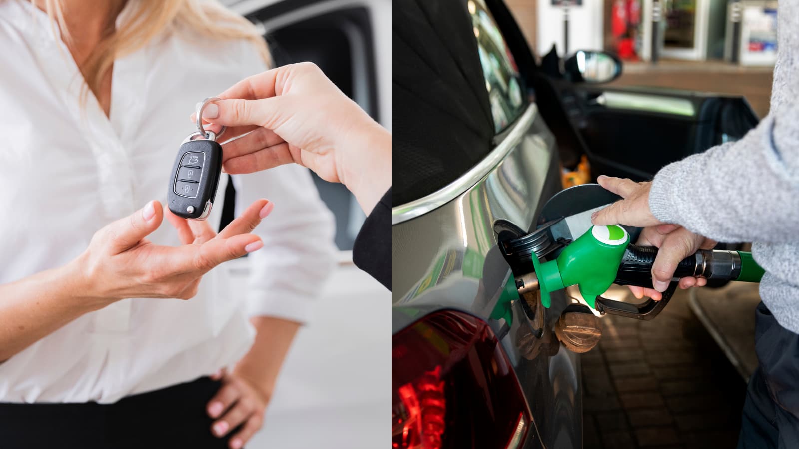 "Proibição dos motores de combustão está fora de questão" nos países da UE