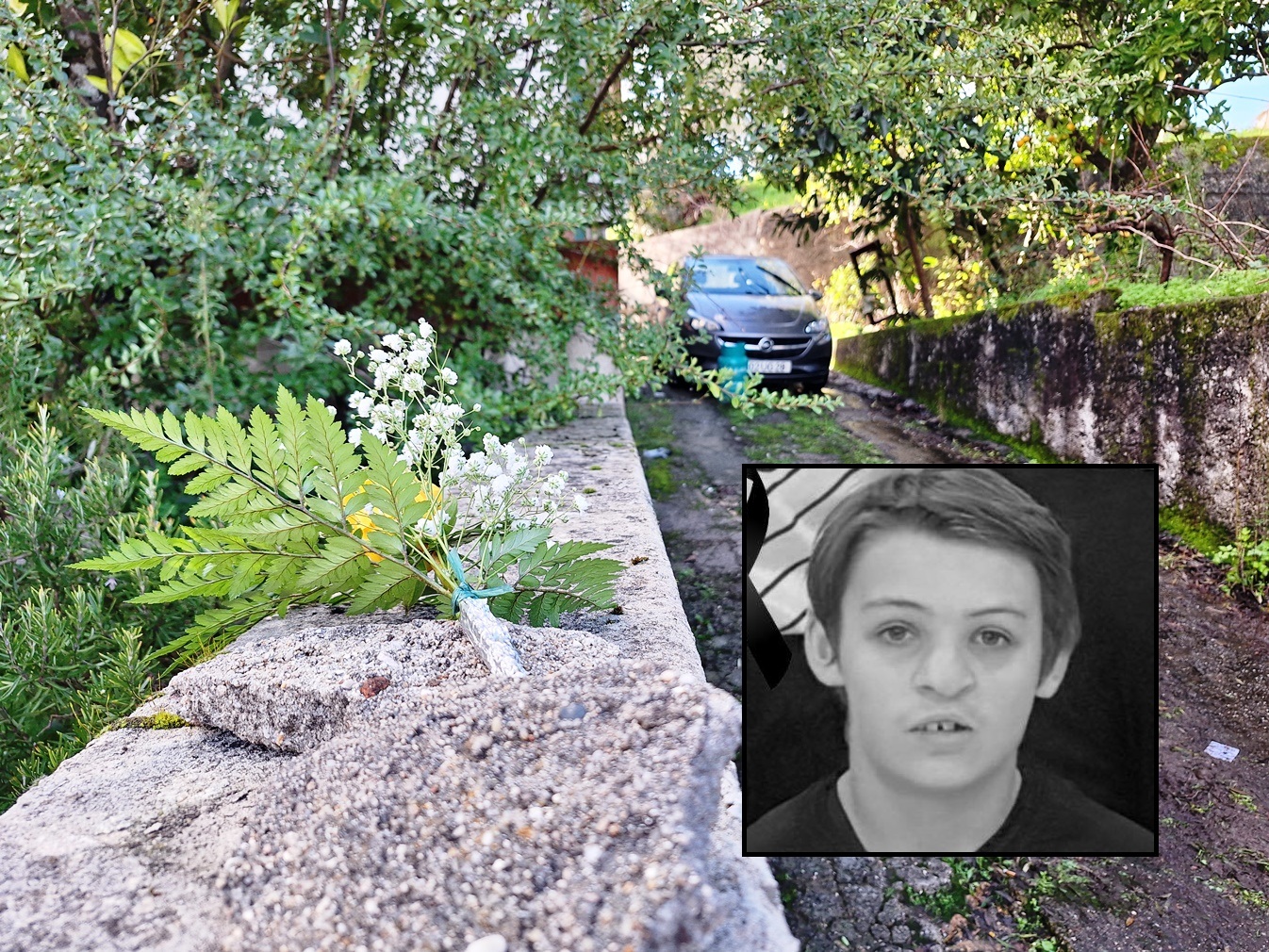 Flores para Alfie, o "menino de coração de ouro"