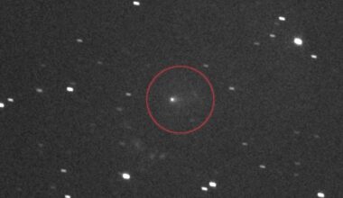 Jornal de Notícias Logo