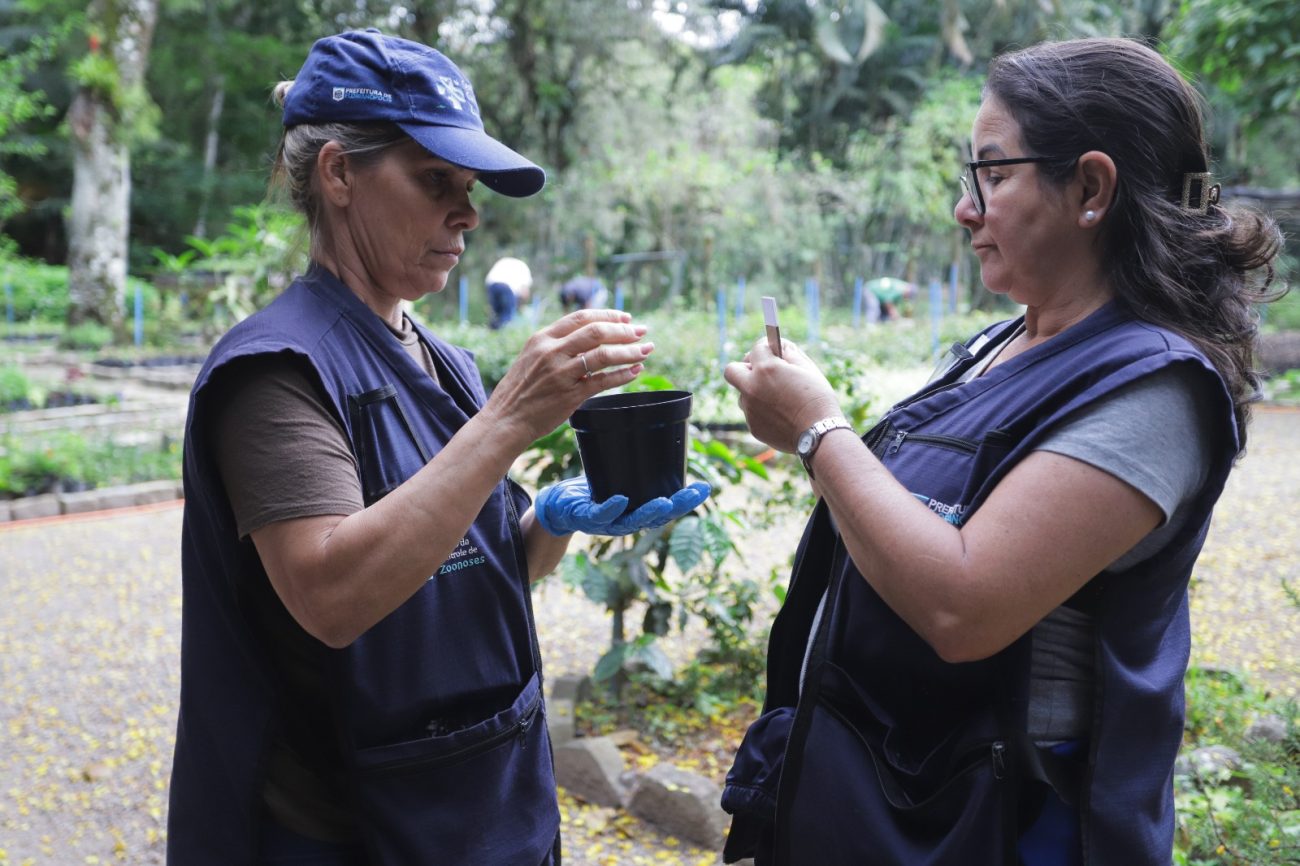 Secretaria de Estado da Saúde valoriza as ações de comunicação e combate ao mosquito como fatores que auxiliaram na redução das mortes por dengue 