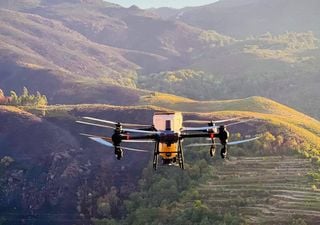 Depois dos fogos no verão, drones lançam sementes para acelerar a reflorestação em Portugal