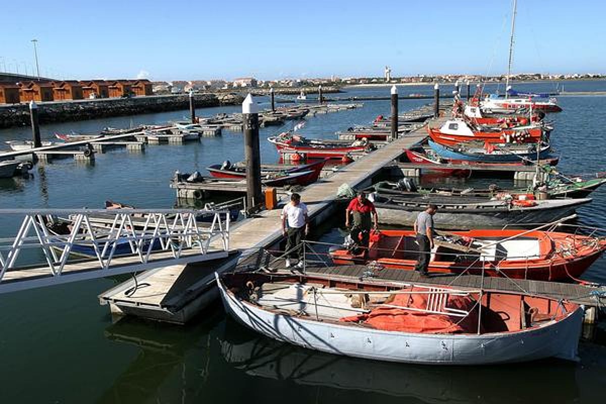 Novo acordo europeu de pescas prevê menos captura de carapau, solha ou linguado em Portugal