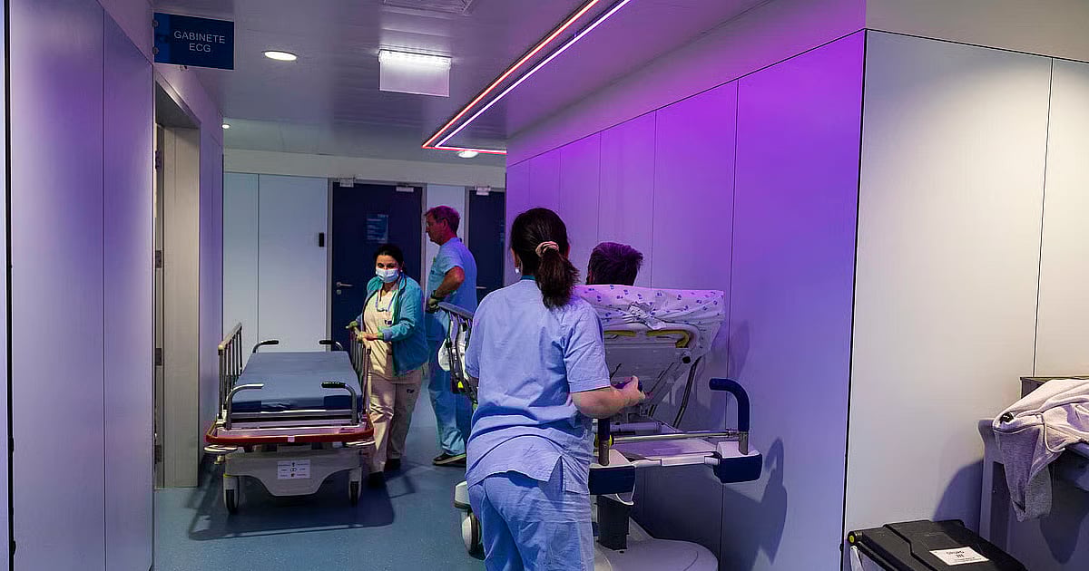 INSA alerta que Portugal entrou em fase epidémica de gripe com tendência crescente