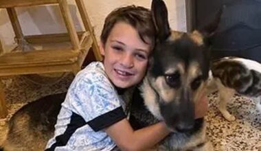 Assassinato de menino de 13 anos no contexto de violência doméstica comove Portugal e Inglaterra