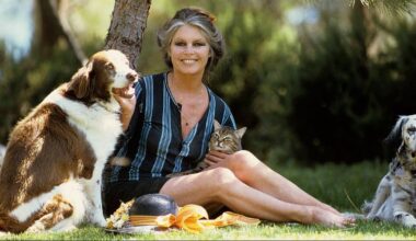 Voto de pesar do PAN esquece condenações de Brigitte Bardot por incitação ao ódio racial e religioso