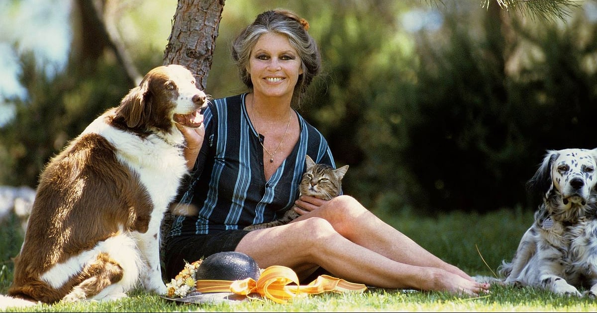 Voto de pesar do PAN esquece condenações de Brigitte Bardot por incitação ao ódio racial e religioso