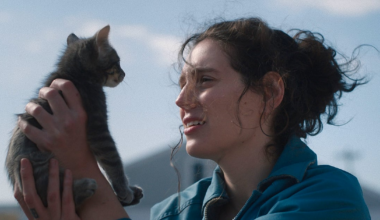 Balanço 2025. Os filmes não desistem da verdade - Diário de Notícias