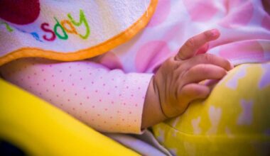 Jornal de Notícias Logo