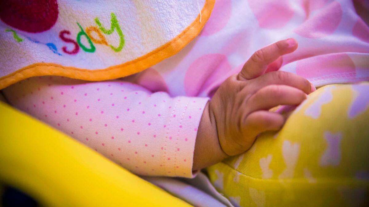 Jornal de Notícias Logo