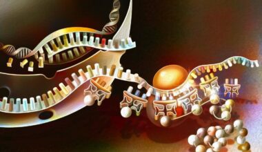 Descoberto organismo que quebra regra dourada da Biologia