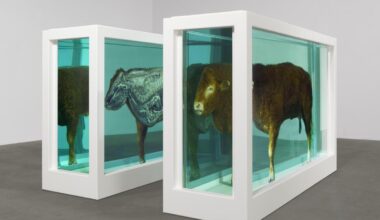 Jornal de Notícias Logo