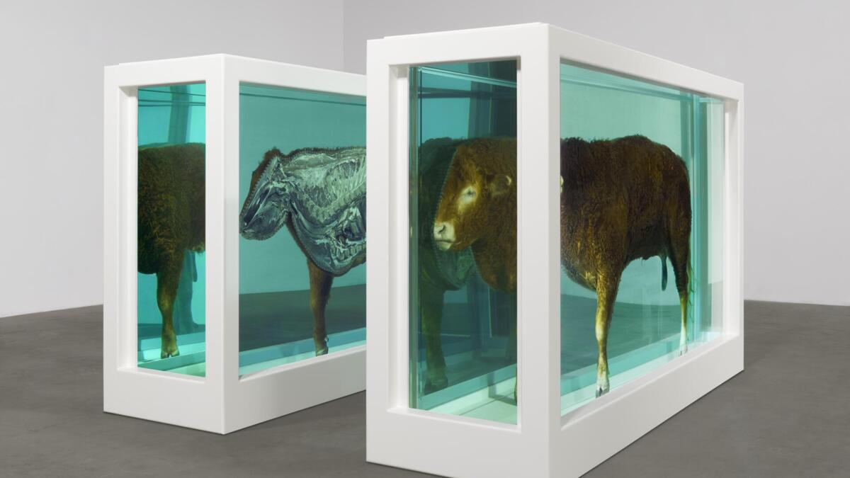 Jornal de Notícias Logo