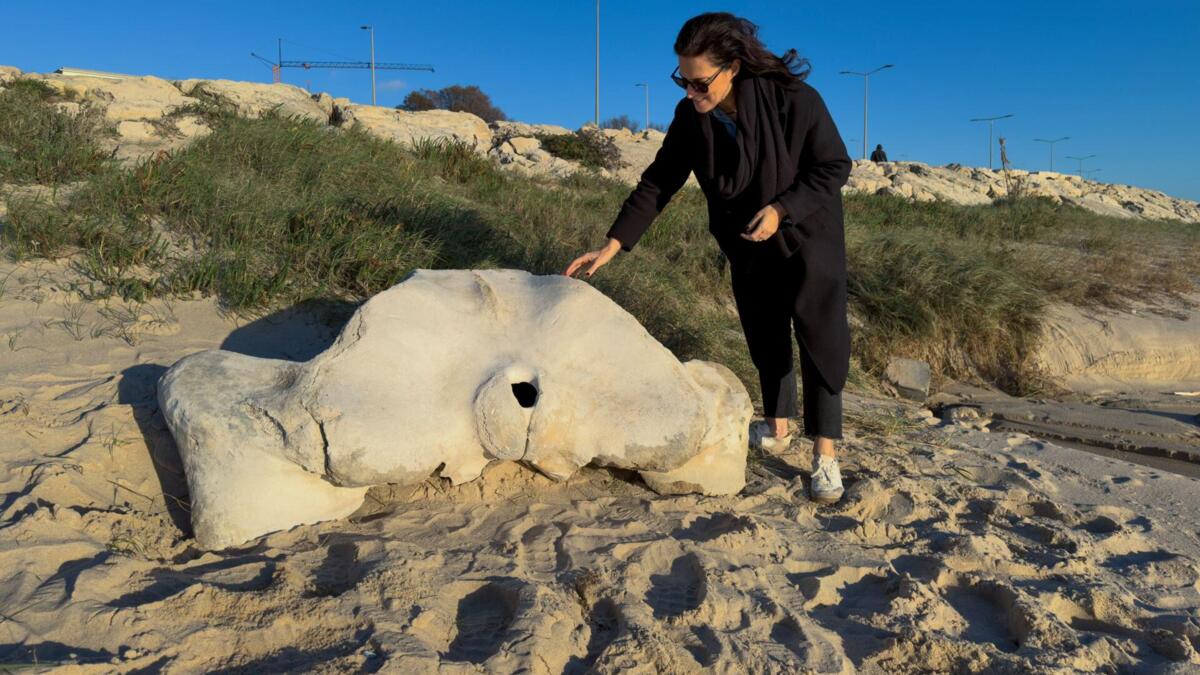 Jornal de Notícias Logo