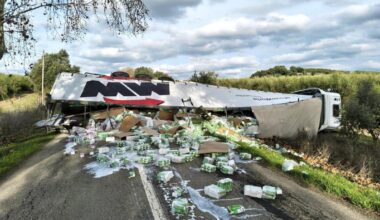 Jornal de Notícias Logo