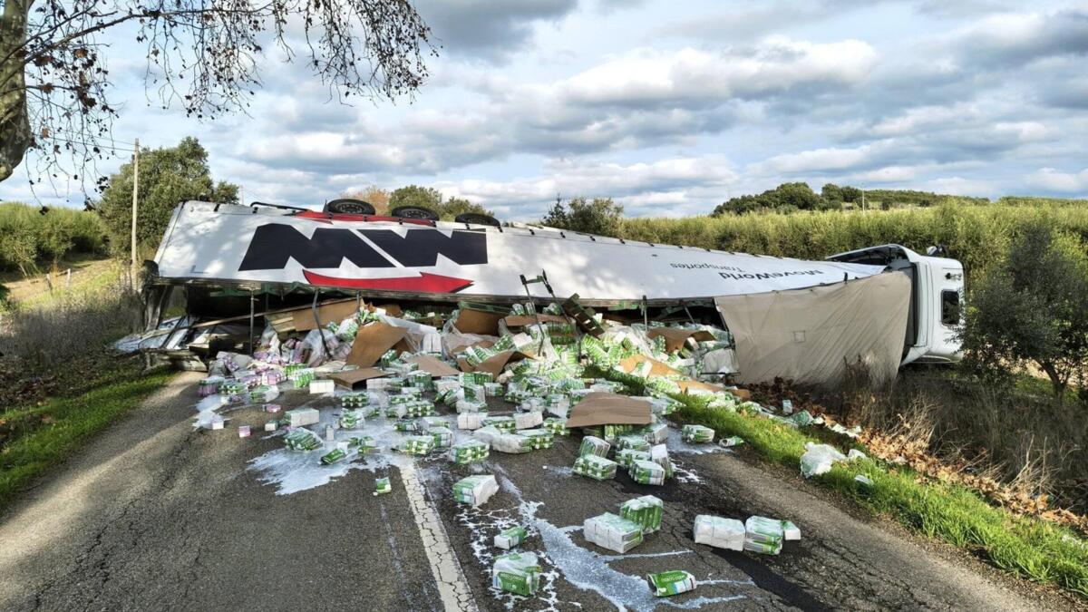 Jornal de Notícias Logo