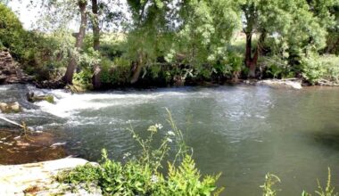 Jornal de Notícias Logo