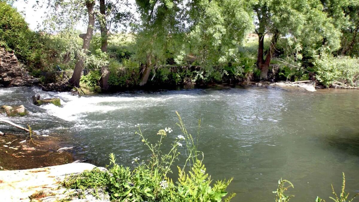 Jornal de Notícias Logo